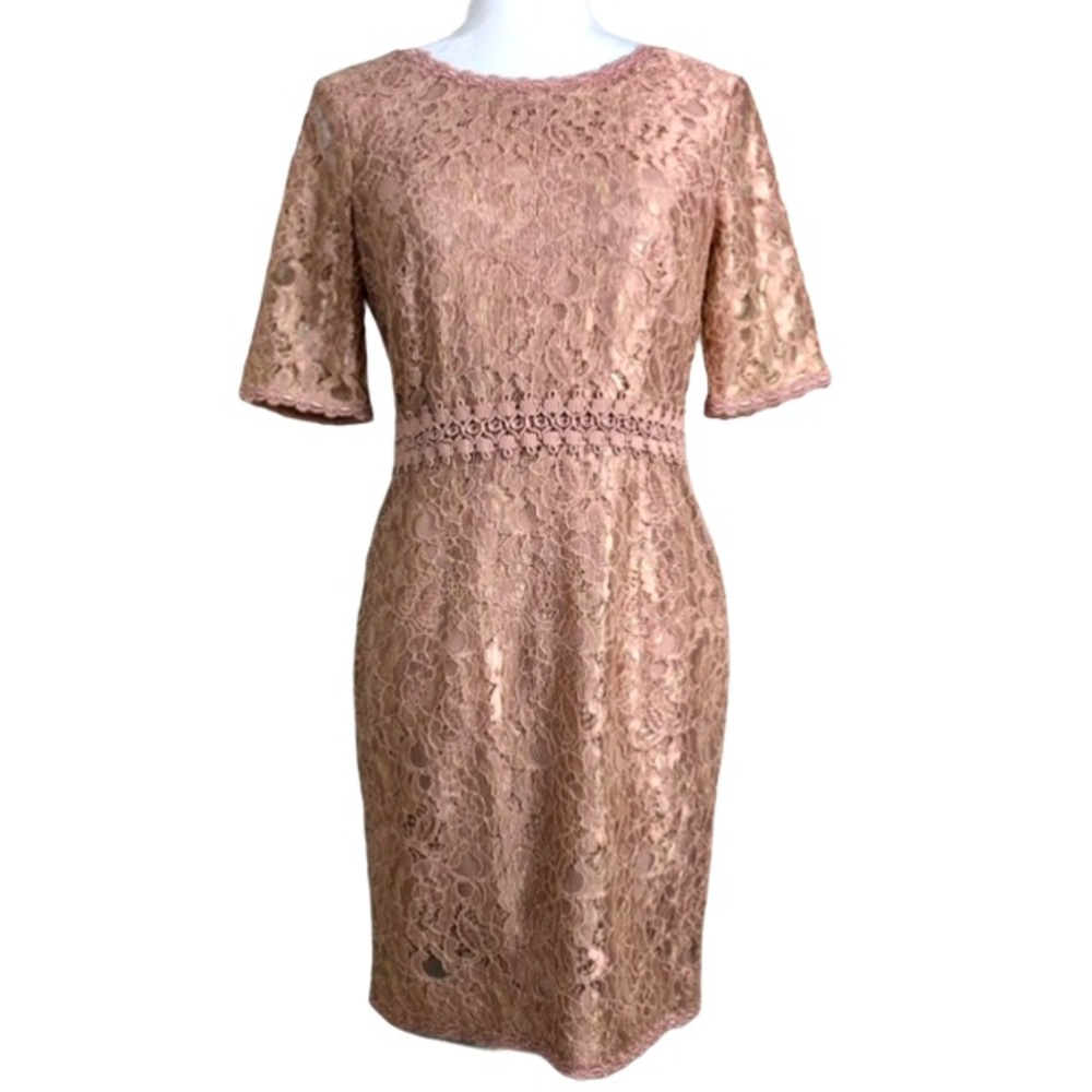 ANN TAYLOR Dress Lace Short Sleeve Rose Gold 4P